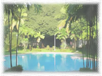 Al Frontera De Taal - Swimming Pool View